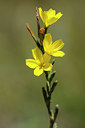 BUITEN BEELD Foto: 138173
