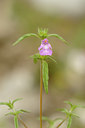 BUITEN BEELD Foto: 138188