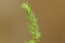 BUITEN BEELD Foto: 138214