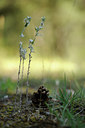 BUITEN BEELD Foto: 138217