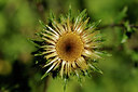 BUITEN BEELD Foto: 138241