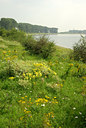BUITEN BEELD Foto: 138291