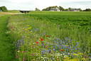 BUITEN BEELD Foto: 138297