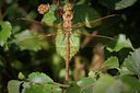 BUITEN BEELD Foto: 138348