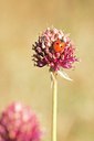 BUITEN BEELD Foto: 138367