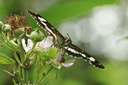 BUITEN BEELD Foto: 138416