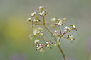 BUITEN BEELD Foto: 138452