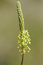 BUITEN BEELD Foto: 138453