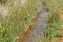 BUITEN BEELD Foto: 138455