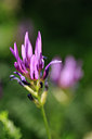 BUITEN BEELD Foto: 138458