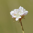 BUITEN BEELD Foto: 138459