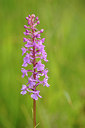 BUITEN BEELD Foto: 138463
