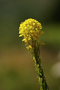 BUITEN BEELD Foto: 138473