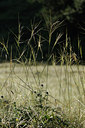 BUITEN BEELD Foto: 138491