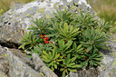 BUITEN BEELD Foto: 138500