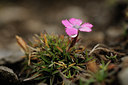 BUITEN BEELD Foto: 138550