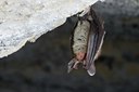 BUITEN BEELD Foto: 138561