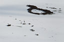 BUITEN BEELD Foto: 138573