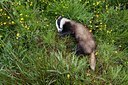 BUITEN BEELD Foto: 138751
