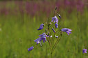 BUITEN BEELD Foto: 138850