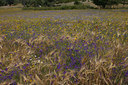 BUITEN BEELD Foto: 13044