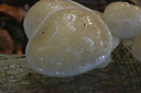 BUITEN BEELD Foto: 13066