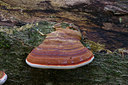 BUITEN BEELD Foto: 13067