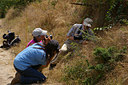 BUITEN BEELD Foto: 13365