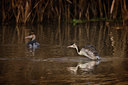 BUITEN BEELD Foto: 13391
