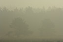 BUITEN BEELD Foto: 13420