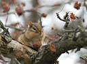 BUITEN BEELD Foto: 13457