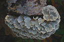 BUITEN BEELD Foto: 13504