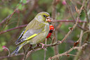 BUITEN BEELD Foto: 13506