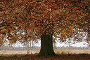 BUITEN BEELD Foto: 13508