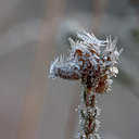 BUITEN BEELD Foto: 13687