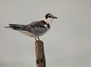 BUITEN BEELD Foto: 13961