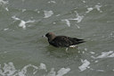 BUITEN BEELD Foto: 13979