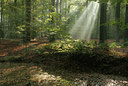 BUITEN BEELD Foto: 13982
