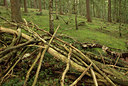 BUITEN BEELD Foto: 139070