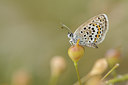 BUITEN BEELD Foto: 139128