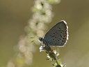BUITEN BEELD Foto: 139145