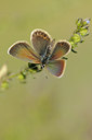BUITEN BEELD Foto: 139163