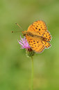 BUITEN BEELD Foto: 139168