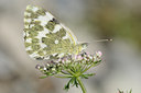 BUITEN BEELD Foto: 139290