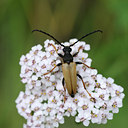 BUITEN BEELD Foto: 139440