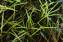 BUITEN BEELD Foto: 139469