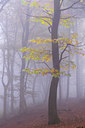 BUITEN BEELD Foto: 139535