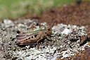 BUITEN BEELD Foto: 139599