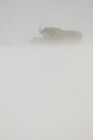 BUITEN BEELD Foto: 139614