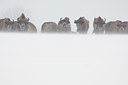 BUITEN BEELD Foto: 139616